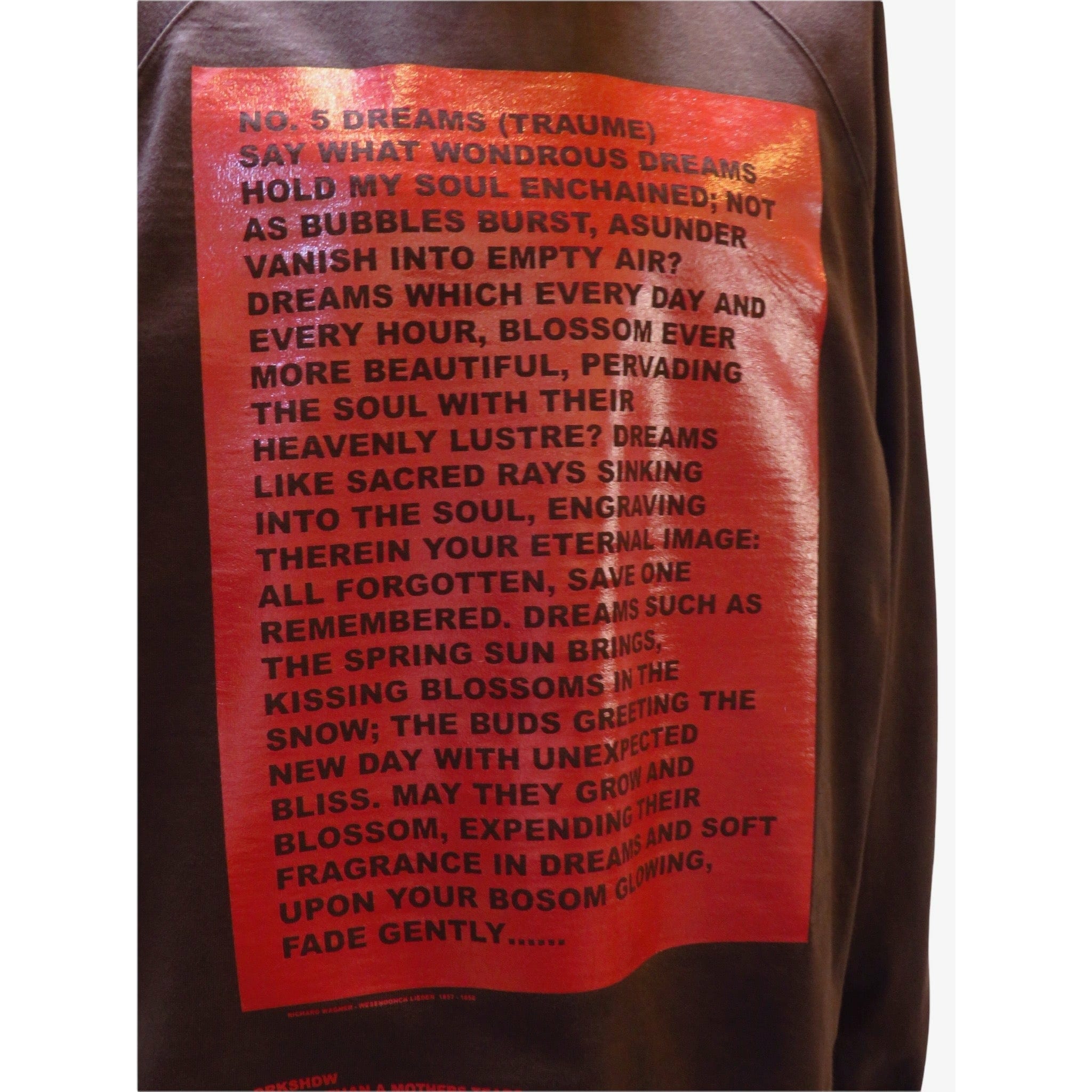 Mens Sweatshirts Printed Sweatshirt Brown
