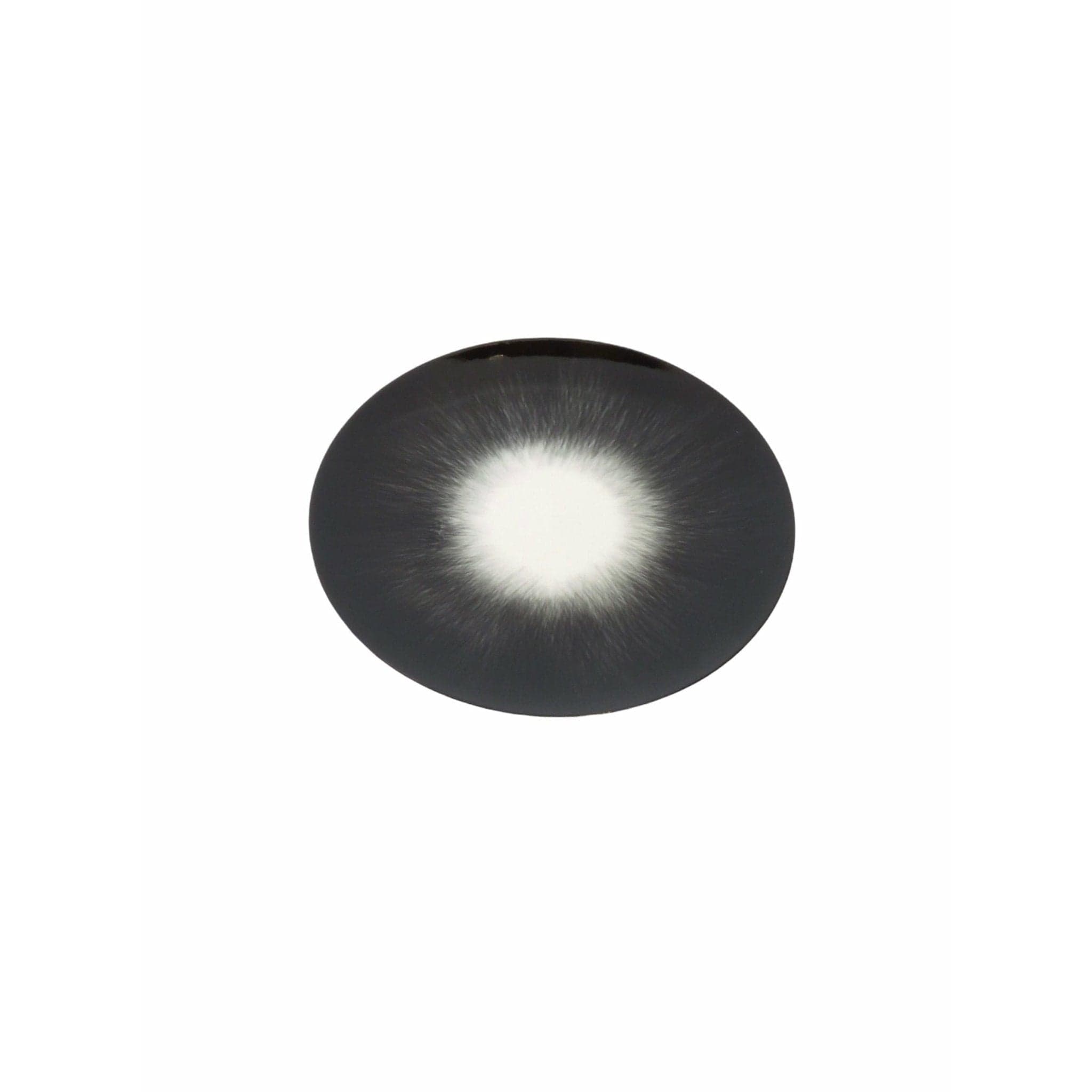Home Ann Demeulemeester for Serax 14 cm. plates (set of two) Dark Slate Gray